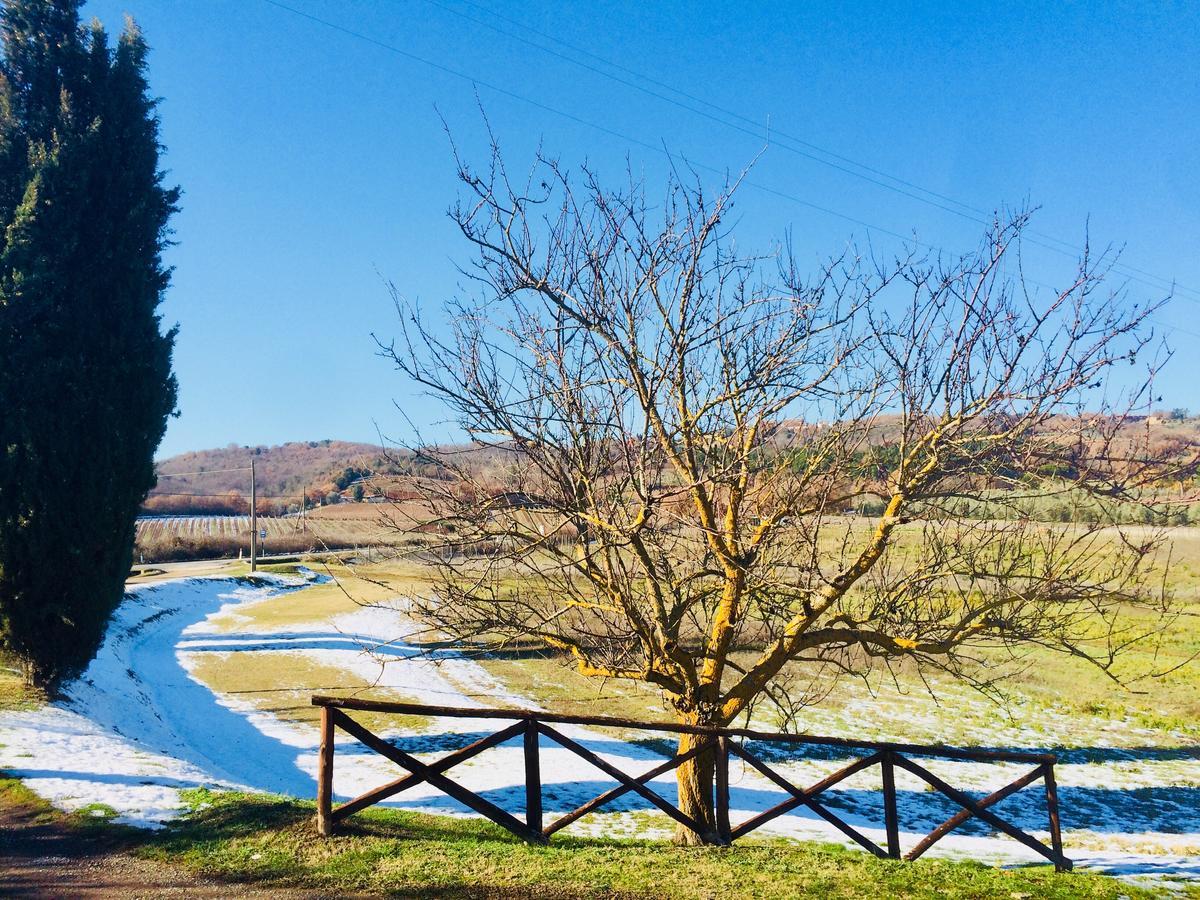 Piombaia Villa Montalcino Exteriör bild