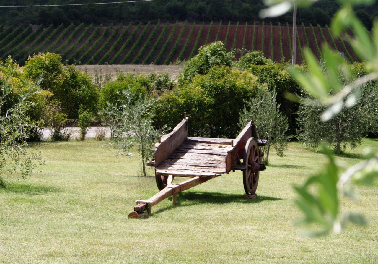 Piombaia Villa Montalcino Exteriör bild